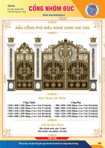 MẪU CỔNG PHÙ ĐIÊU SONG LONG