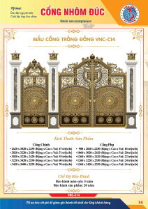 MẪU CỔNG PHÙ ĐIÊU TRỐNG ĐỒNG